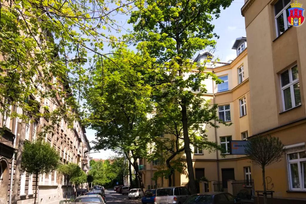 Live Like Locals: Market Square X Jewish District Kraków Rum bild